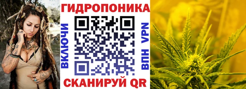 Где купить наркоту Ленинградская СОЛЬ  Галлюциногенные грибы  блэк спрут как войти  Cocaine  Гашиш  Марихуана 