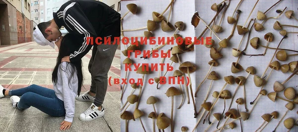 тгк Кулебаки