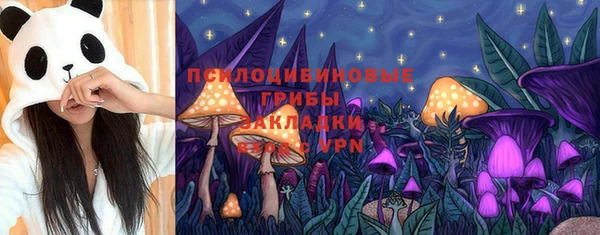 тгк Кулебаки